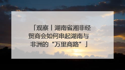 观察丨湖南省湘非经贸商会如何串起湖南与非洲的“万里商路”