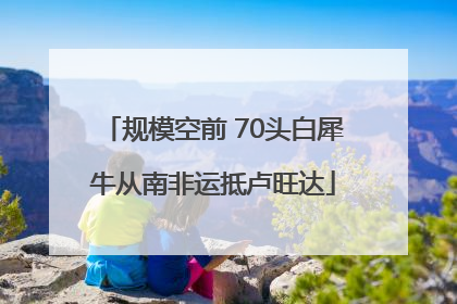 规模空前 70头白犀牛从南非运抵卢旺达