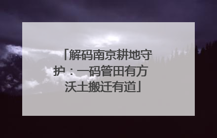 解码南京耕地守护：一码管田有方 沃土搬迁有道