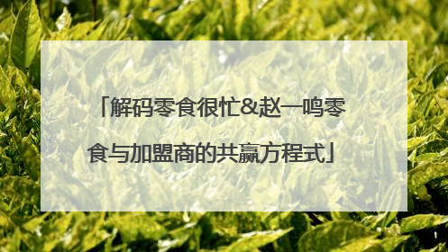解码零食很忙&赵一鸣零食与加盟商的共赢方程式