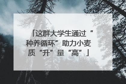 这群大学生通过“种养循环”助力小麦质“升”量“高”