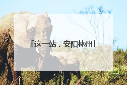 这一站，安阳林州