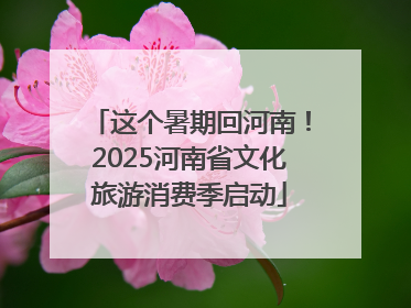 这个暑期回河南！2025河南省文化旅游消费季启动