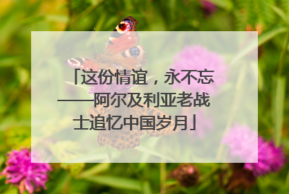 这份情谊，永不忘——阿尔及利亚老战士追忆中国岁月