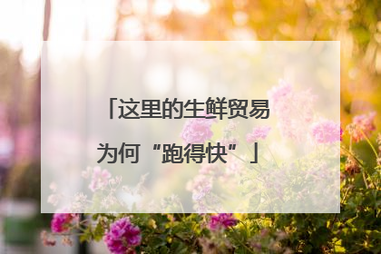 这里的生鲜贸易为何“跑得快”