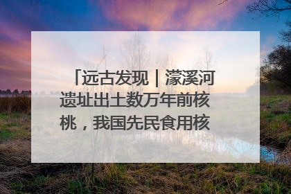 远古发现｜濛溪河遗址出土数万年前核桃，我国先民食用核桃历史大幅提前