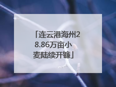 连云港海州28.86万亩小麦陆续开镰