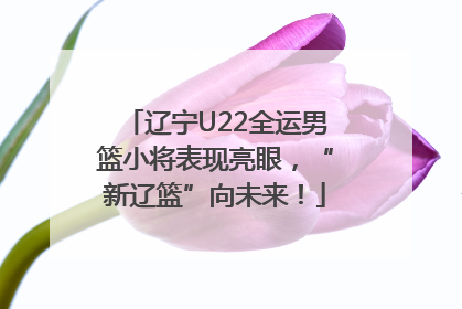 辽宁U22全运男篮小将表现亮眼，“新辽篮”向未来！