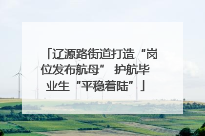 辽源路街道打造“岗位发布航母” 护航毕业生“平稳着陆”
