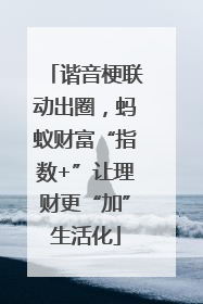 谐音梗联动出圈，蚂蚁财富“指数+”让理财更“加”生活化