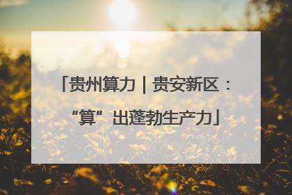 贵州算力｜贵安新区：“算”出蓬勃生产力