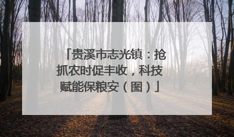 贵溪市志光镇：抢抓农时促丰收，科技赋能保粮安（图）