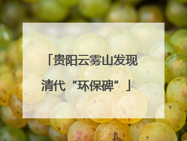 贵阳云雾山发现清代“环保碑”
