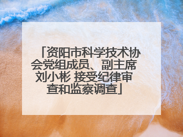 资阳市科学技术协会党组成员、副主席刘小彬 接受纪律审查和监察调查