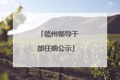 赣州领导干部任前公示