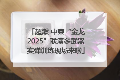 超燃 中柬“金龙-2025”联演多武器实弹训练现场来啦