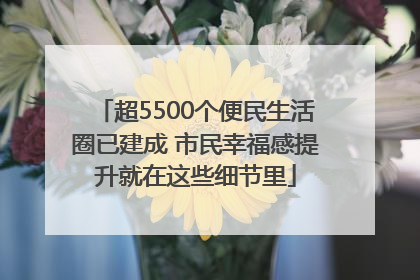 超5500个便民生活圈已建成 市民幸福感提升就在这些细节里
