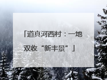 道真河西村：一地双收“新丰景”