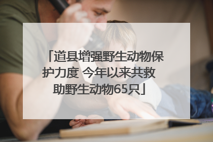 道县增强野生动物保护力度 今年以来共救助野生动物65只