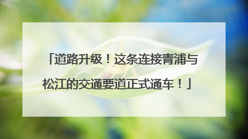 道路升级！这条连接青浦与松江的交通要道正式通车！