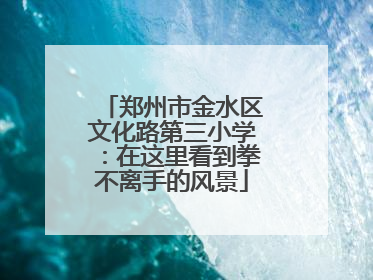郑州市金水区文化路第三小学：在这里看到拳不离手的风景