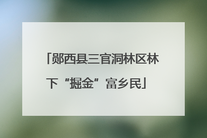郧西县三官洞林区林下“掘金”富乡民