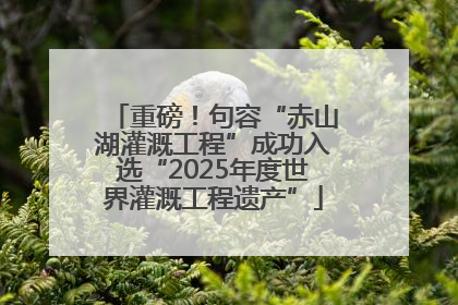 重磅！句容“赤山湖灌溉工程”成功入选“2025年度世界灌溉工程遗产”