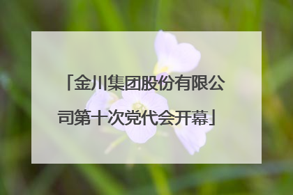 金川集团股份有限公司第十次党代会开幕