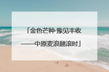 金色芒种·豫见丰收——中原麦浪翻滚时