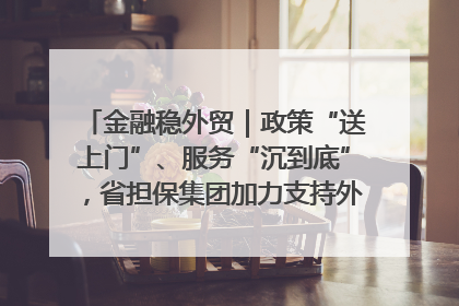 金融稳外贸｜政策“送上门”、服务“沉到底”，省担保集团加力支持外经贸高质量发展