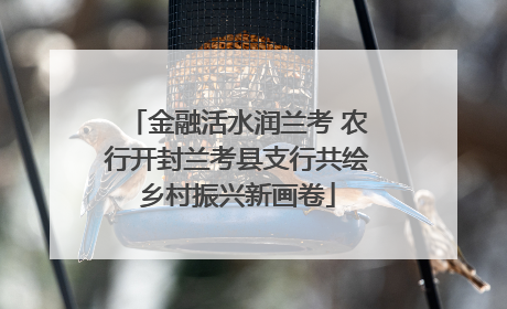 金融活水润兰考 农行开封兰考县支行共绘乡村振兴新画卷