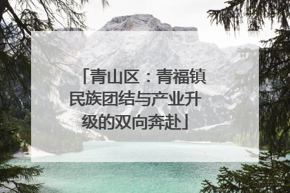 青山区：青福镇民族团结与产业升级的双向奔赴