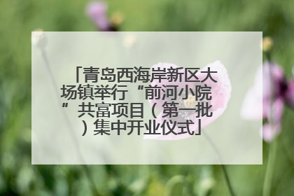 青岛西海岸新区大场镇举行“前河小院”共富项目（第一批）集中开业仪式