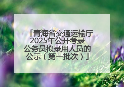 青海省交通运输厅2025年公开考录公务员拟录用人员的公示（第一批次）