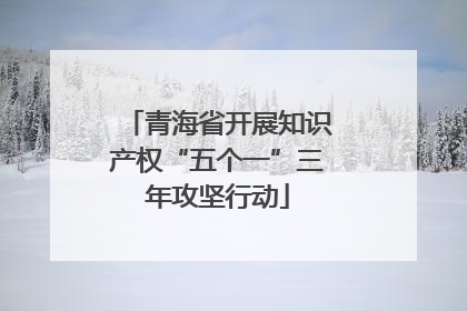 青海省开展知识产权“五个一”三年攻坚行动