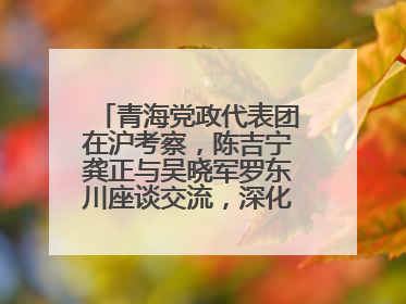青海党政代表团在沪考察，陈吉宁龚正与吴晓军罗东川座谈交流，深化合作对接