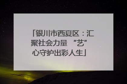 银川市西夏区：汇聚社会力量 “艺”心守护出彩人生