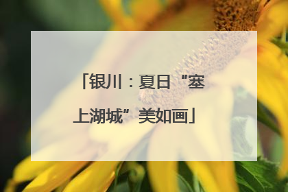 银川：夏日“塞上湖城”美如画