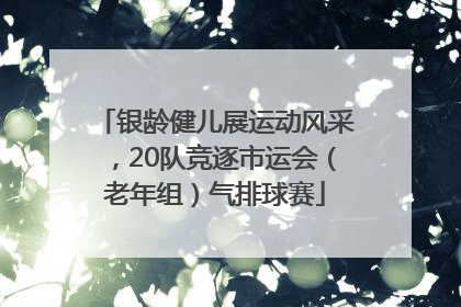 银龄健儿展运动风采，20队竞逐市运会（老年组）气排球赛