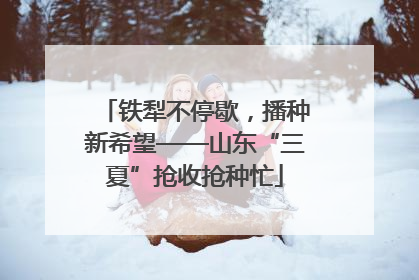 铁犁不停歇，播种新希望——山东“三夏”抢收抢种忙