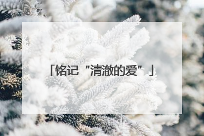 铭记“清澈的爱”