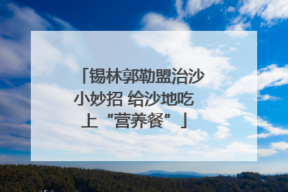 锡林郭勒盟治沙小妙招 给沙地吃上“营养餐”