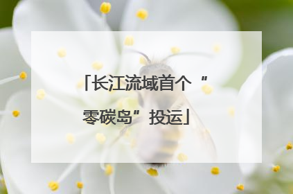 长江流域首个“零碳岛”投运