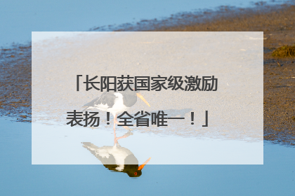 长阳获国家级激励表扬！全省唯一！