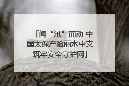 闻“汛”而动 中国太保产险丽水中支筑牢安全守护网