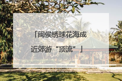 闽侯绣球花海成近郊游“顶流”