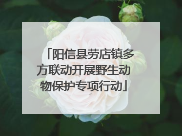 阳信县劳店镇多方联动开展野生动物保护专项行动
