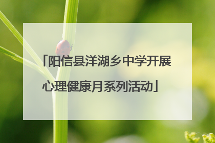 阳信县洋湖乡中学开展心理健康月系列活动