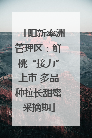 阳新率洲管理区：鲜桃“接力”上市 多品种拉长甜蜜采摘期