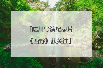 陆川导演纪录片《西野》获关注